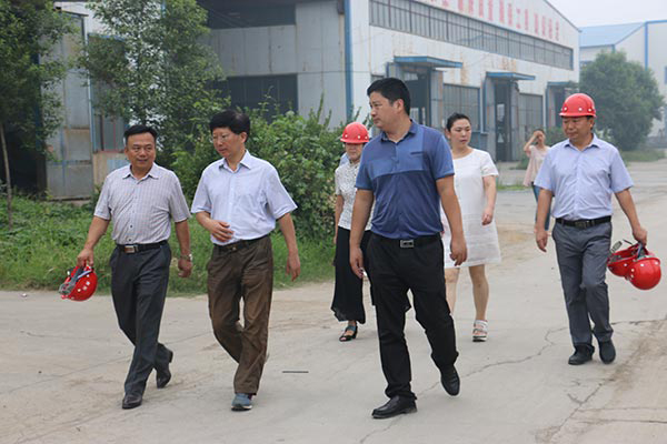 河洛镇书记莅临检查指导工作